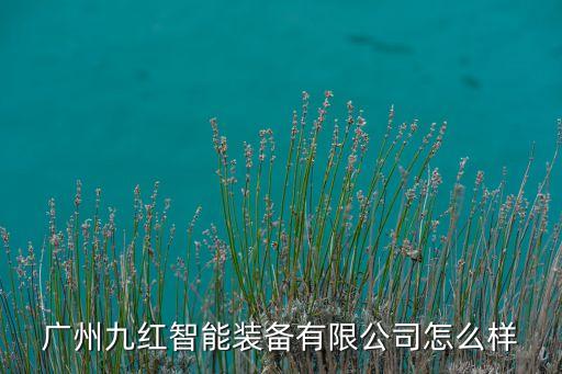 廣州九紅智能裝備有限公司怎么樣