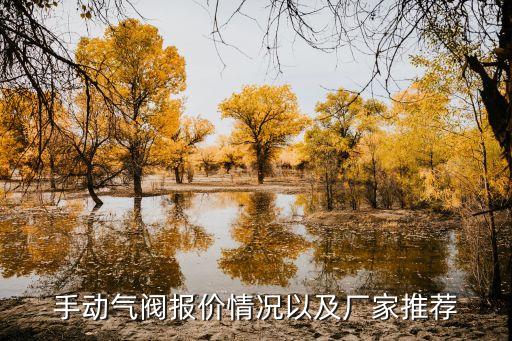 手動氣閥報價情況以及廠家推薦