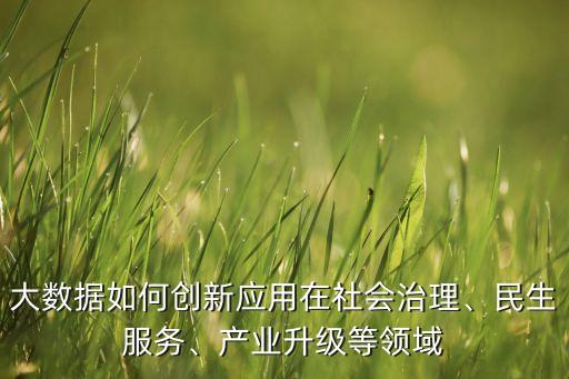大數(shù)據(jù)如何創(chuàng)新應(yīng)用在社會治理、民生服務(wù)、產(chǎn)業(yè)升級等領(lǐng)域