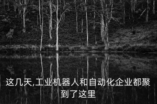 這幾天,工業(yè)機(jī)器人和自動(dòng)化企業(yè)都聚到了這里