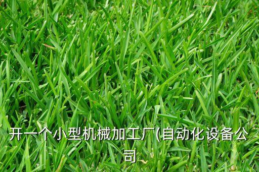 開一個小型機械加工廠(自動化設(shè)備公司