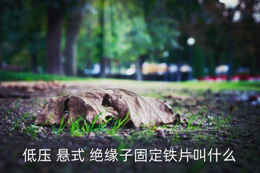 低壓 懸式 絕緣子固定鐵片叫什么