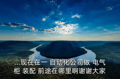 ...現(xiàn)在在一 自動化公司做 電氣柜 裝配 前途在哪里啊謝謝大家