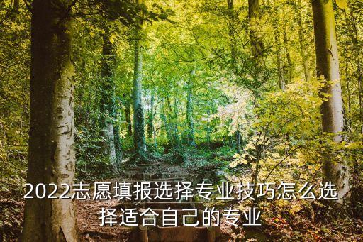 2022志愿填報選擇專業(yè)技巧怎么選擇適合自己的專業(yè)