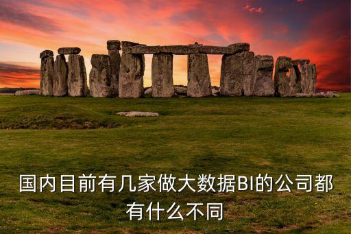 國(guó)內(nèi)目前有幾家做大數(shù)據(jù)BI的公司都有什么不同