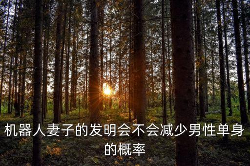 機(jī)器人妻子的發(fā)明會(huì)不會(huì)減少男性單身的概率