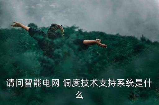 請(qǐng)問(wèn)智能電網(wǎng) 調(diào)度技術(shù)支持系統(tǒng)是什么