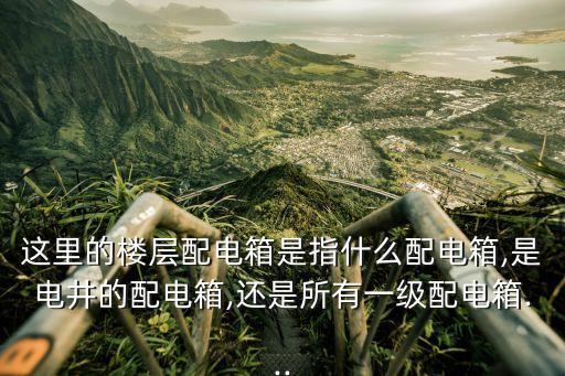 這里的樓層配電箱是指什么配電箱,是電井的配電箱,還是所有一級(jí)配電箱...