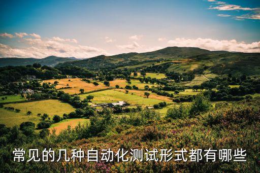 常見的幾種自動化測試形式都有哪些