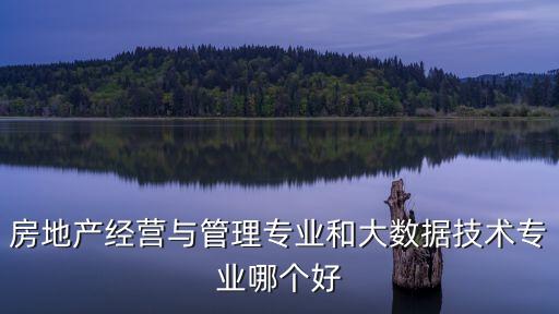 房地產(chǎn)經(jīng)營與管理專業(yè)和大數(shù)據(jù)技術(shù)專業(yè)哪個(gè)好