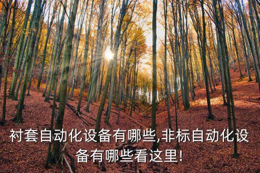 汽車(chē)襯套自動(dòng)化設(shè)備有哪些,非標(biāo)自動(dòng)化設(shè)備有哪些?看這里!