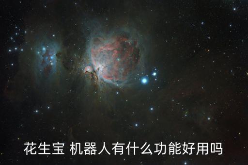 花生寶 機器人有什么功能好用嗎