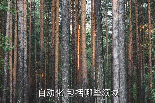  自動(dòng)化 包括哪些領(lǐng)域