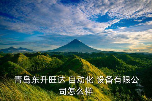  青島東升旺達(dá) 自動化 設(shè)備有限公司怎么樣