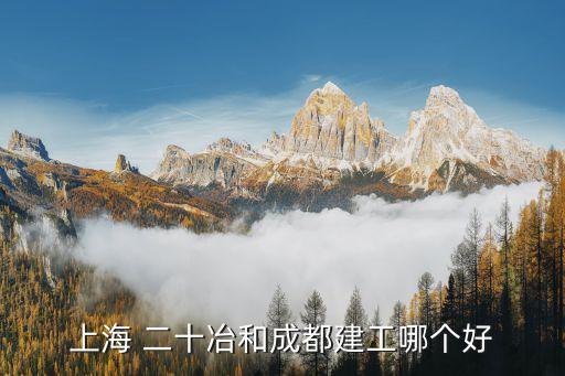 上海 二十冶和成都建工哪個(gè)好