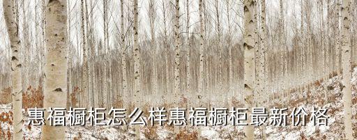 惠福櫥柜怎么樣惠福櫥柜最新價格