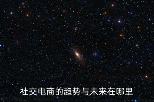 社交電商的趨勢(shì)與未來在哪里