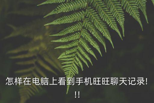 怎樣在電腦上看到手機(jī)旺旺聊天記錄!!!