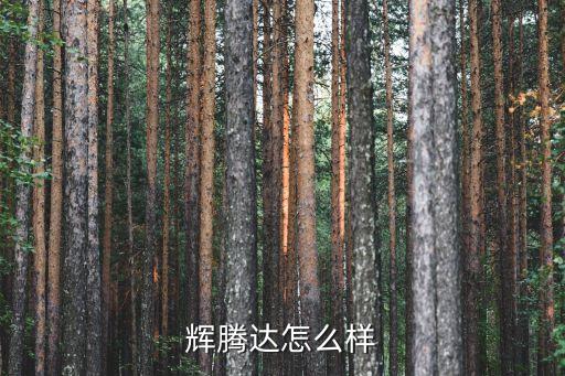 輝騰達怎么樣