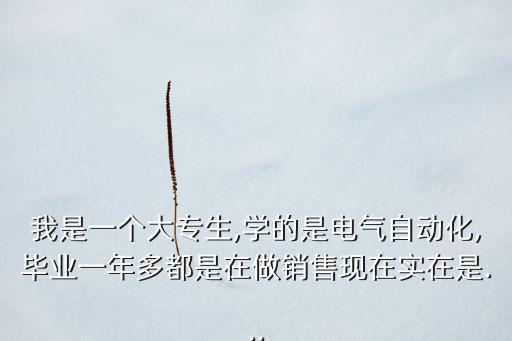 我是一個(gè)大專生,學(xué)的是電氣自動(dòng)化,畢業(yè)一年多都是在做銷售現(xiàn)在實(shí)在是...