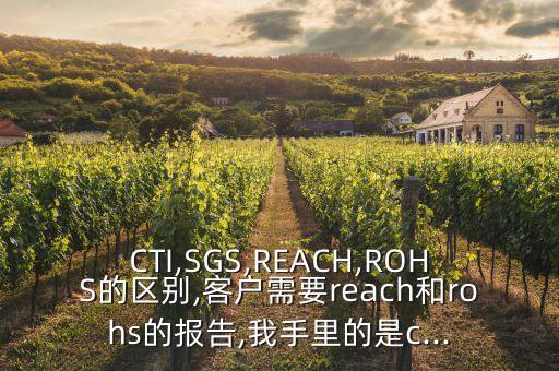 CTI,SGS,REACH,ROHS的區(qū)別,客戶需要reach和rohs的報(bào)告,我手里的是c...