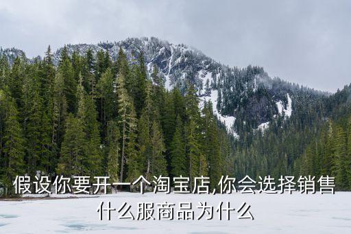 假設(shè)你要開(kāi)一個(gè)淘寶店,你會(huì)選擇銷售什么服商品為什么