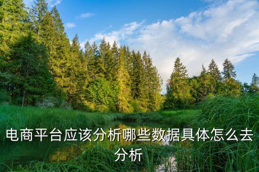 電商平臺(tái)應(yīng)該分析哪些數(shù)據(jù)具體怎么去分析