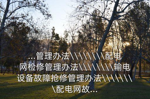 ...管理辦法\\\\\\\\配電網(wǎng)檢修管理辦法\\\\\\\\輸電設備故障搶修管理辦法\\\\\\\\配電網(wǎng)故...