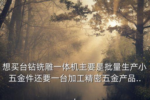 想買臺(tái)鉆銑雕一體機(jī)主要是批量生產(chǎn)小五金件還要一臺(tái)加工精密五金產(chǎn)品...