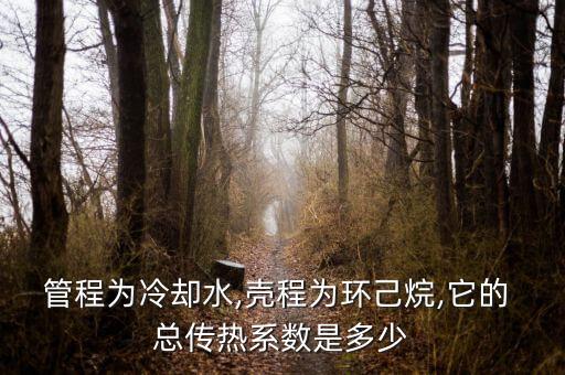 管程為冷卻水,殼程為環(huán)己烷,它的 總傳熱系數(shù)是多少