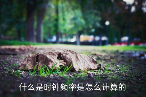 什么是時(shí)鐘頻率是怎么計(jì)算的