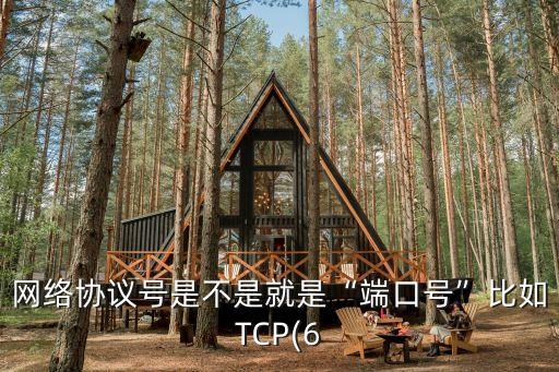 網(wǎng)絡協(xié)議號是不是就是“端口號”比如TCP(6