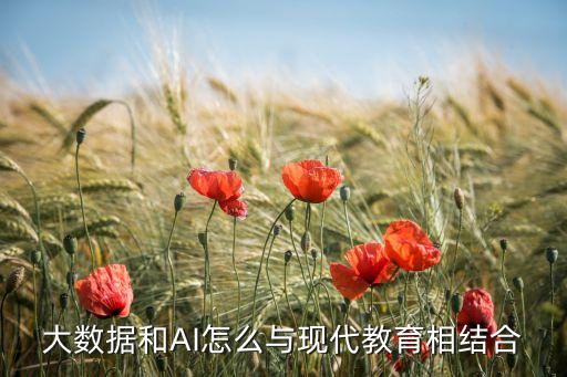 大數(shù)據(jù)和AI怎么與現(xiàn)代教育相結(jié)合