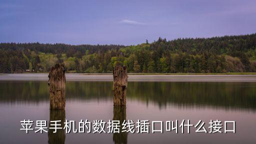 蘋果手機的數(shù)據(jù)線插口叫什么接口