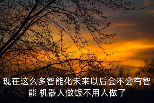 現(xiàn)在這么多智能化未來(lái)以后會(huì)不會(huì)有智能 機(jī)器人做飯不用人做了