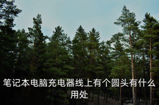 usb數(shù)據(jù)線帶磁環(huán),數(shù)據(jù)線上的磁環(huán)有什么用?