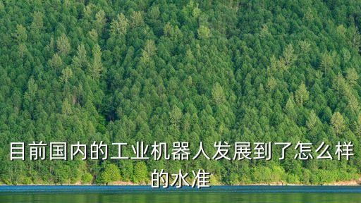 目前國(guó)內(nèi)的工業(yè)機(jī)器人發(fā)展到了怎么樣的水準(zhǔn)