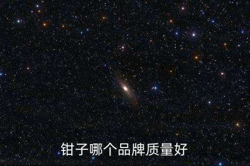 鉗子哪個品牌質(zhì)量好