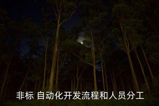  非標(biāo) 自動(dòng)化開發(fā)流程和人員分工