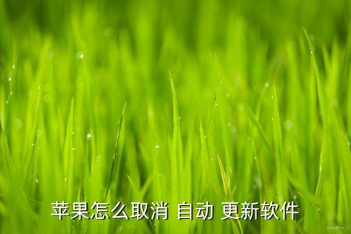 蘋果怎么取消 自動 更新軟件