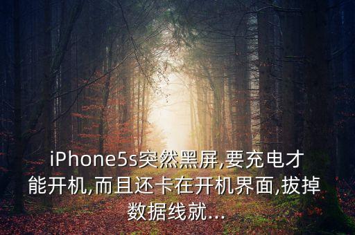 iPhone5s突然黑屏,要充電才能開(kāi)機(jī),而且還卡在開(kāi)機(jī)界面,拔掉 數(shù)據(jù)線就...
