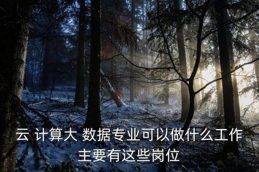 云 計算大 數(shù)據(jù)專業(yè)可以做什么工作主要有這些崗位