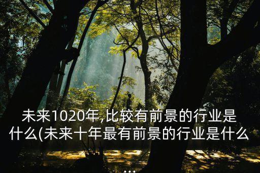 未來1020年,比較有前景的行業(yè)是什么(未來十年最有前景的行業(yè)是什么...