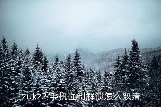  zukz2 手機強制解鎖怎么雙清
