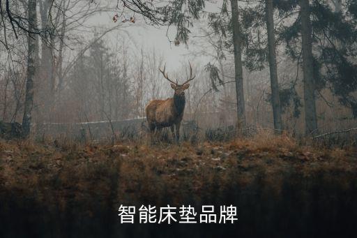 床墊自動化縫紉設備多少錢,乳膠床墊哪個品牌好?