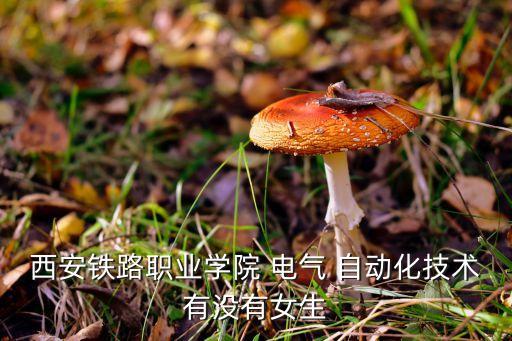 西安鐵路職業(yè)學(xué)院 電氣 自動化技術(shù)有沒有女生