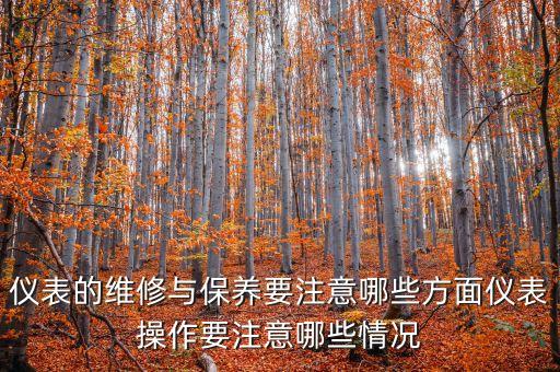 儀表的維修與保養(yǎng)要注意哪些方面儀表操作要注意哪些情況
