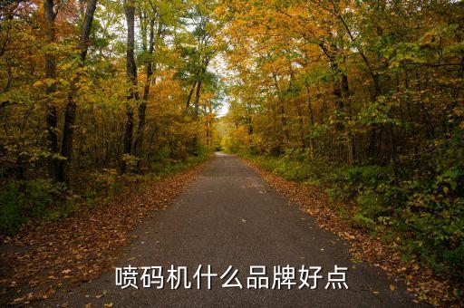 鄂州自動化噴碼機設備廠,自動化激光噴碼機優(yōu)勢有哪些?