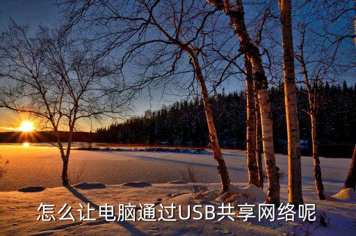 usb共享網(wǎng)絡(luò) 數(shù)據(jù)嗎,共享網(wǎng)絡(luò)怎么用?!