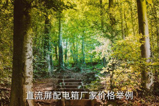 直流屏配電箱廠家價(jià)格舉例